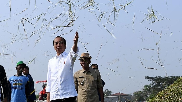 Jokowi Buka Suara: Harga Beras RI di Puncak ASEAN